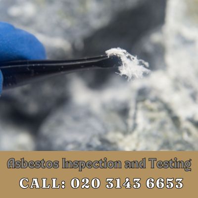 Comprehensive Asbestos Inspection and Testing Services in Walthamstow